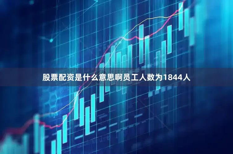 股票配资是什么意思啊员工人数为1844人