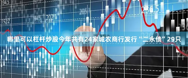 哪里可以杠杆炒股今年共有24家城农商行发行“二永债”29只
